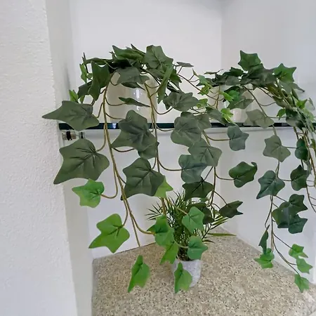 Centro Storico Nido A 147 Passi Dal Maggiore 阿罗纳