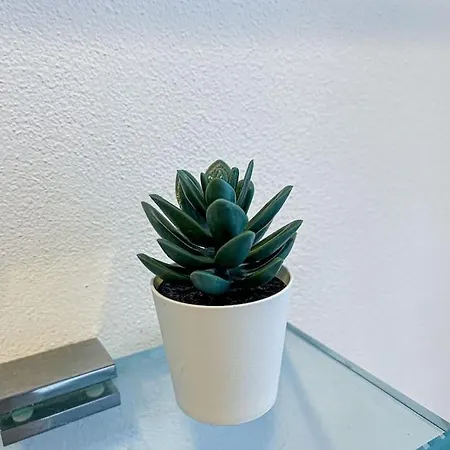 Centro Storico Nido A 147 Passi Dal Maggiore Apartman *