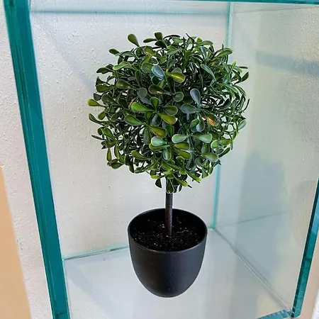 Centro Storico Nido A 147 Passi Dal Maggiore *