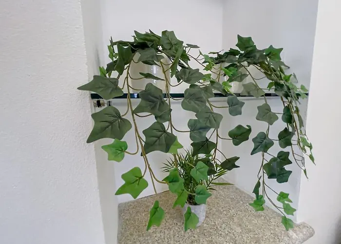 Centro Storico Nido A 147 Passi Dal Maggiore Arona