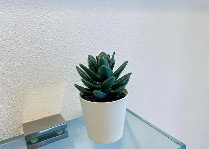 Centro Storico Nido A 147 Passi Dal Maggiore Apartament *