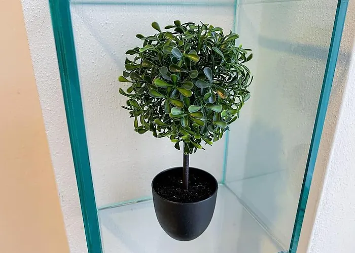 Centro Storico Nido A 147 Passi Dal Maggiore *